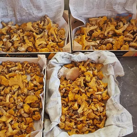 Appartamento Gluecksplatz Im Laerchenhof *